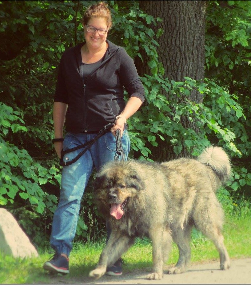 Ratmírov 2016