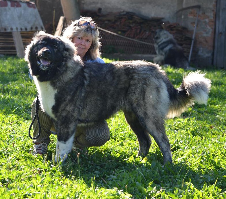 Tskaro Chita