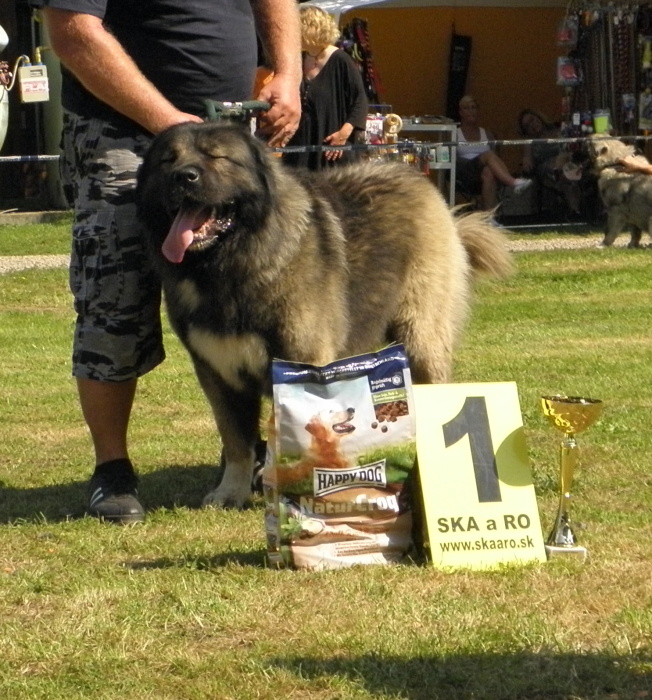V1_CAC_-_FIDO_ZE_RSKCH_LESU_-_t.ampion_psi