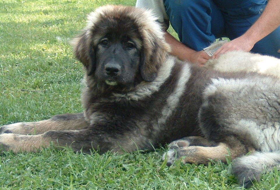 Byrranga Byrranga