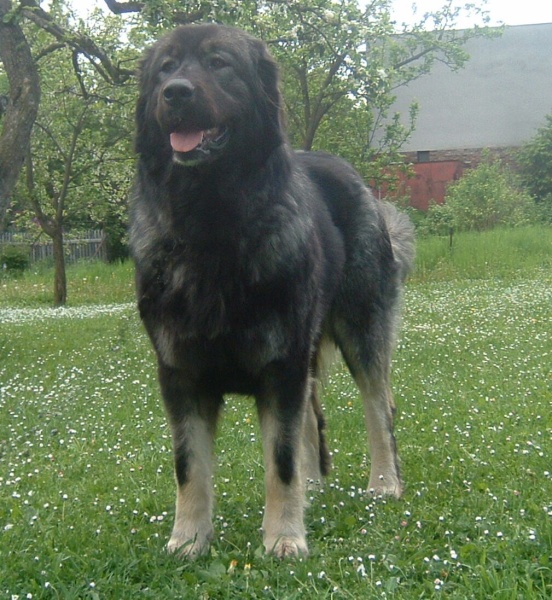 Byrranga