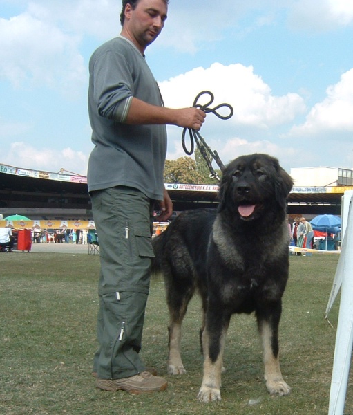 Byrranga