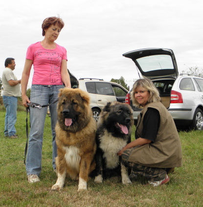 20120825.6
