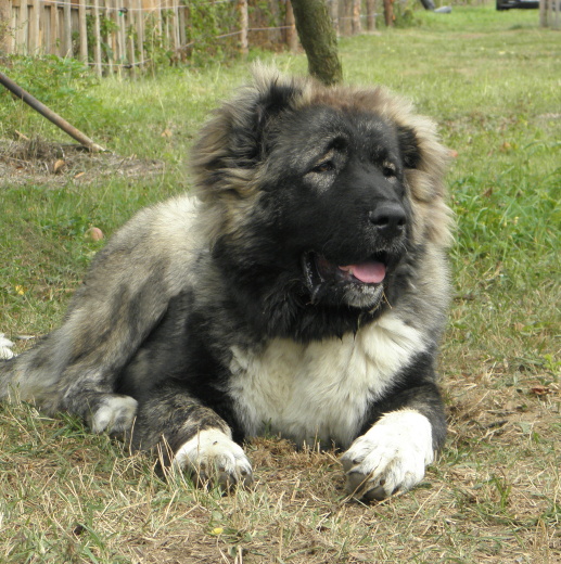 20120825.Chita7