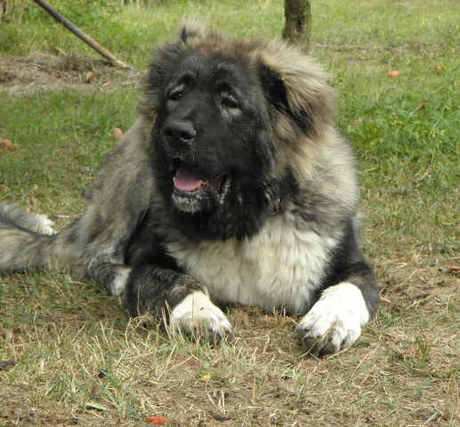20120825.Chita9