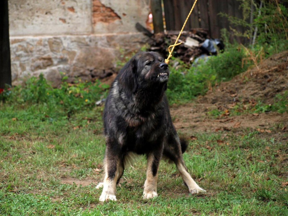 20120825AP_Byr10