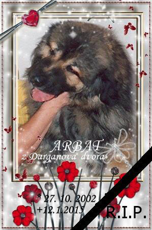 Arbat z Darganova dvora Arbat z Darganova dvora