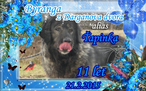 Ťapinka Ťapinka