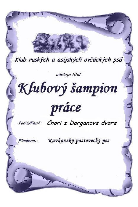 KCHP Cnori z Darganova dvora