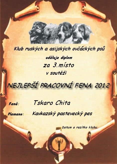 Tskaro Chita Tskaro Chita
