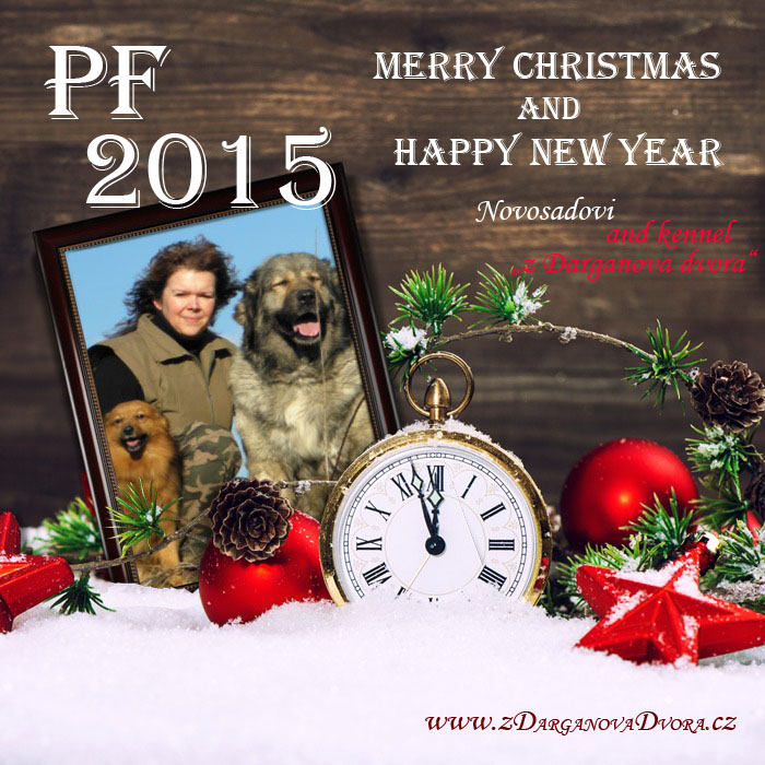 PF2015_CHS