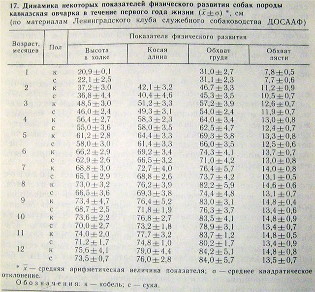 Dynamika růstu KAO v prvním roce života Dynamika růstu KAO v prvním roce života